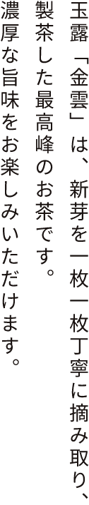 玉露「金雲」は、新芽を一枚一枚丁寧に摘み取り、製茶した最高峰のお茶です。濃厚な旨味をお楽しみいただけます。