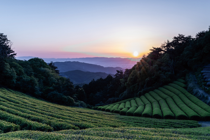 聖地 京都山城