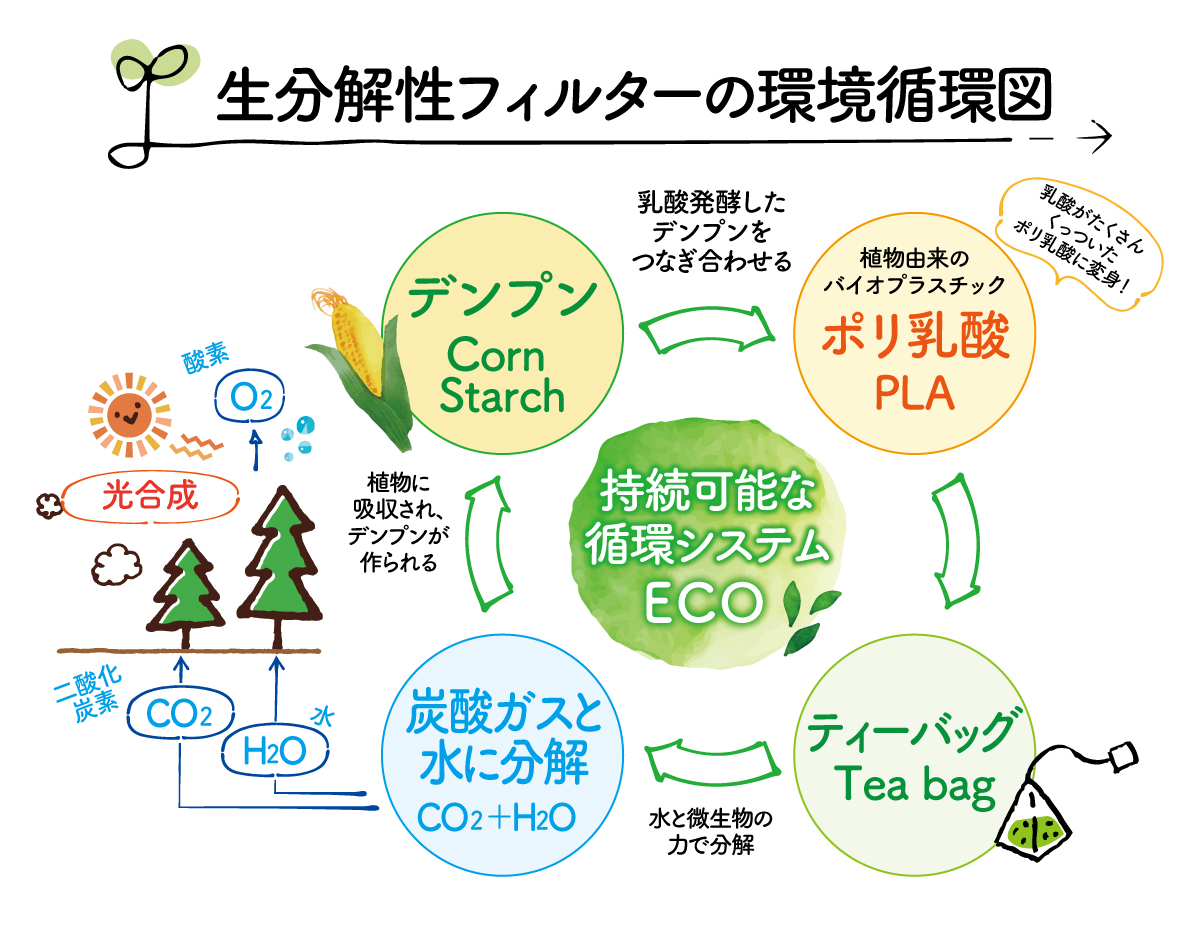 生分解性フィルターの環境循環図